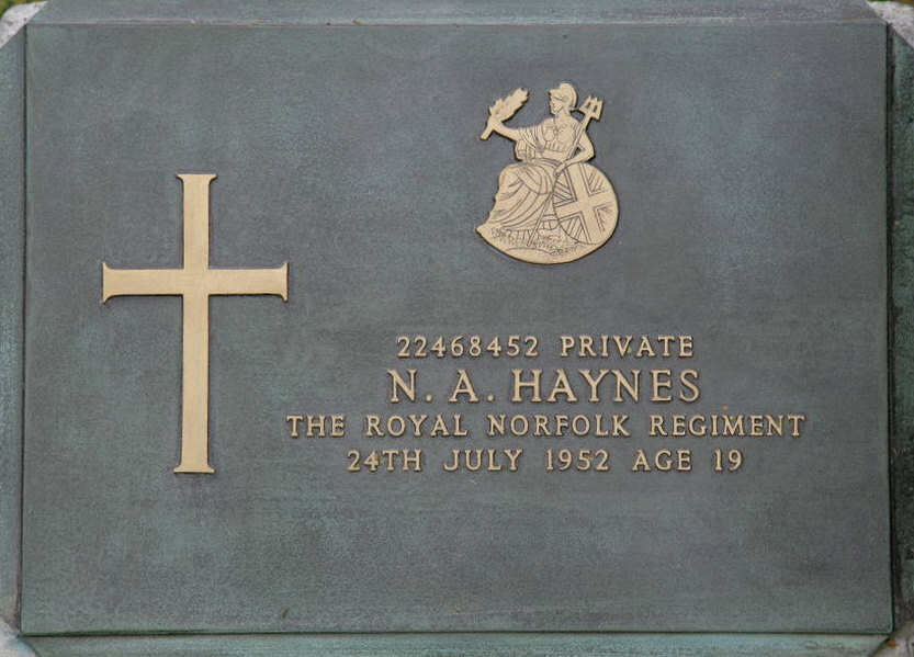 HAYNES N A