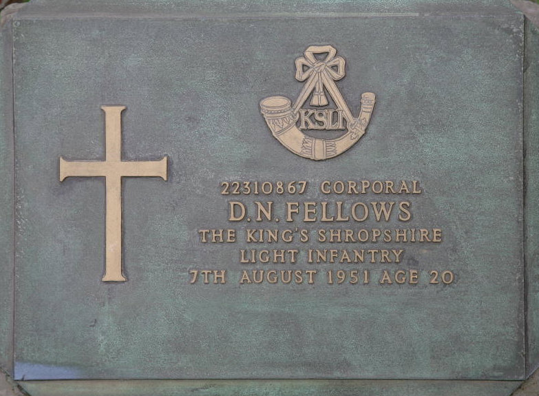 FELLOWS D N